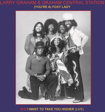 Larry Graham: You're a Foxy Lady (12-Inch Single)