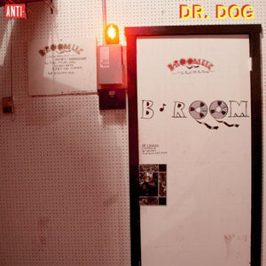 Dr Dog: B-Room (Vinyl LP)