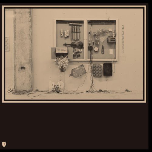 Tieghem, David Van / Ten: Fits & Starts (Vinyl LP)