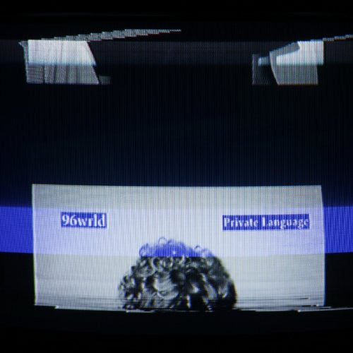 96Wrld: Private Language (Vinyl LP)