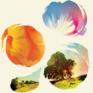 Tycho: Past Is Prologue (Vinyl LP)