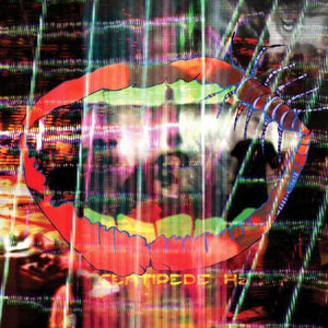 Animal Collective: Centipede HZ (Vinyl LP)