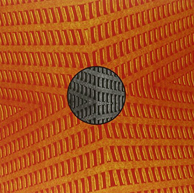 Whitman, Keith Fullerton / Alien Radio: Keith Fullerton Whitman/Alien Radio (Vinyl LP)