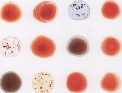 Gabriel, Peter: Scratch My Back & I'll Scratch Yours (Vinyl LP)