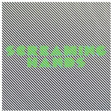 Radio Slave: Screaming Hands (12-Inch Single)