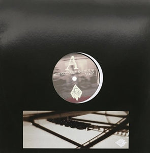 Achterbahn Damour / Albert & Albert: Heart Warming Hard Hitting (12-Inch Single)