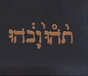 Godspeed You Black Emperor: Slow Riot for New Zero Kanada (Vinyl LP)