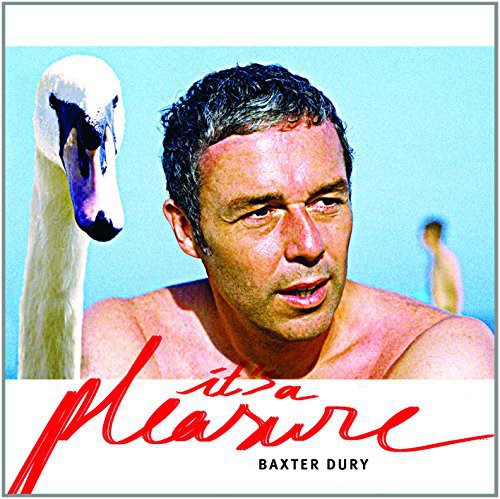 Baxter Dury: It's a Pleasure (Vinyl LP)