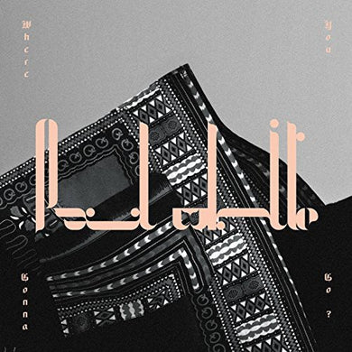 White, Paul: Where You Gonna Go? (12-Inch Single)