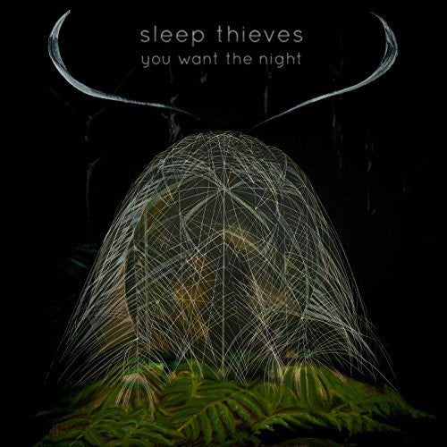 Sleep Thieves: You Want the Night (Vinyl LP)