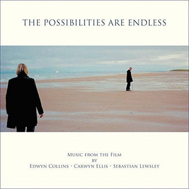 Carwyn Ellis: The Possibilities Are Endless (Original Soundtrack) (Vinyl LP)
