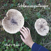 Schlammpeitziger: Whats Fruit (Vinyl LP)