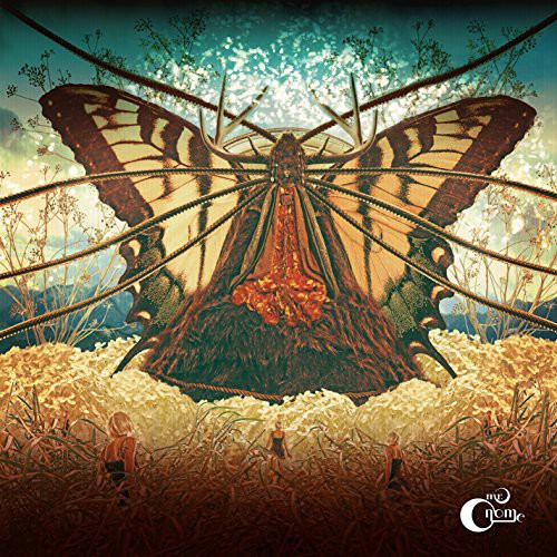 Mr. Gnome: Heart of a Dark Star (Vinyl LP)