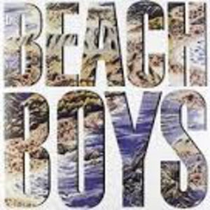 The Beach Boys: Beach Boys the (LP) (Vinyl LP)