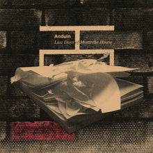 Anduin: Last Days of Montrose House (12-Inch Single)