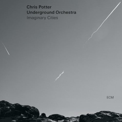 Potter, Chris Underground Orchestra: Chris Potter Orchestra (Vinyl LP)