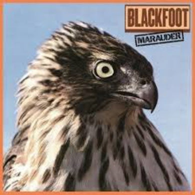 Blackfoot: Marauder (Vinyl LP)