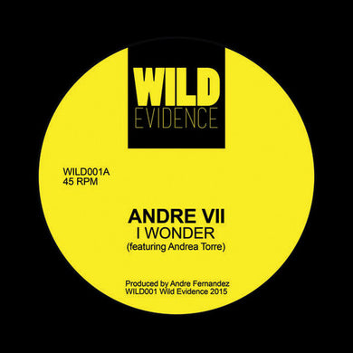 Andre VII: I Wonder (12-Inch Single)