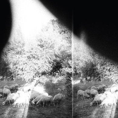 Godspeed You Black Emperor: Asunder Sweet & Other Distress (Vinyl LP)