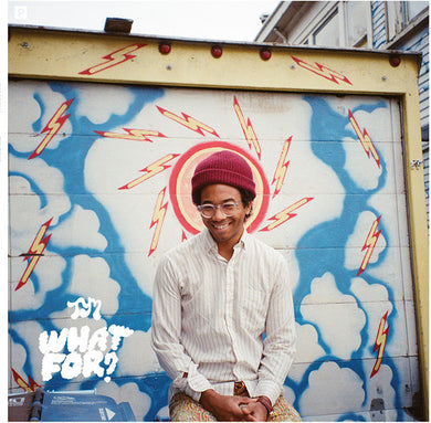 Toro Y Moi: What for (Vinyl LP)