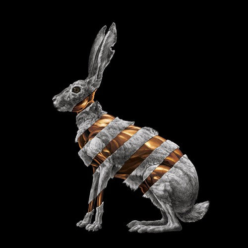 San Fermin: Jackrabbit (Vinyl LP)