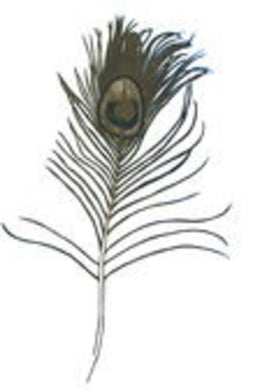 Great Peacock: Making Ghosts (Vinyl LP)