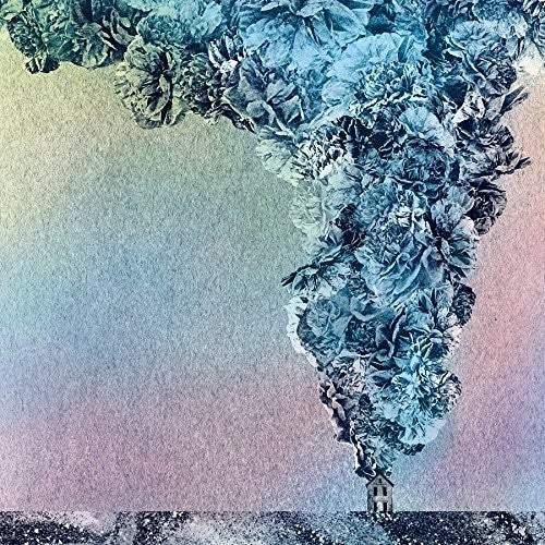 Daughn Gibson: Carnation (Vinyl LP)