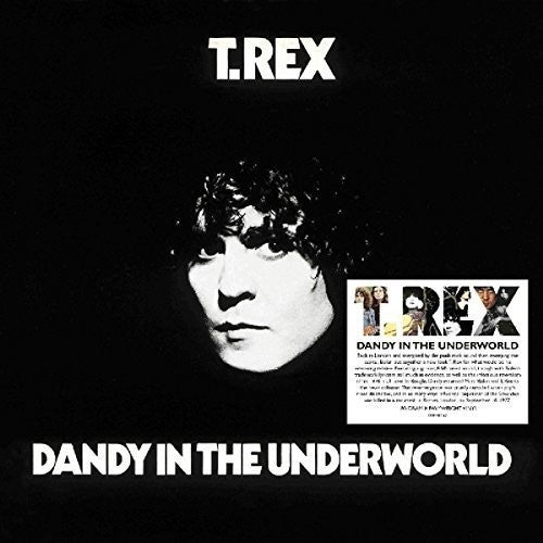 T. Rex: Dandy in the Underworld (Vinyl LP)