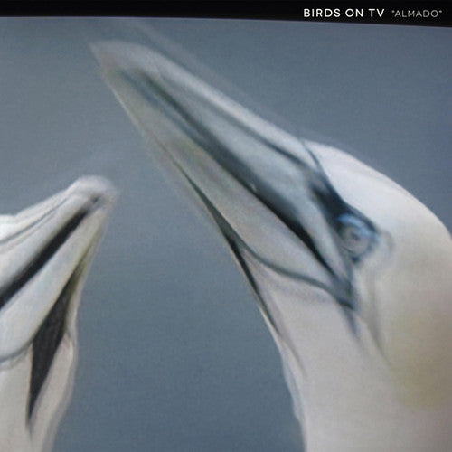 Birds on TV: Almado (12-Inch Single)