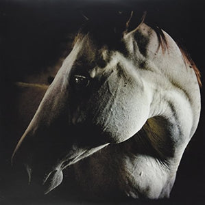 Brother Dege: How to Kill a Horse (Vinyl LP)