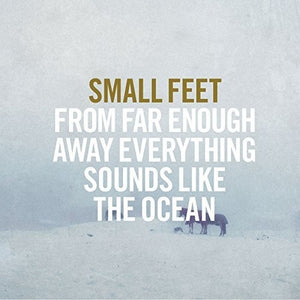 Small Feet: From Far Enough Away Everything Sounds Like (Vinyl LP)