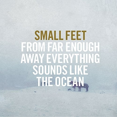 Small Feet: From Far Enough Away Everything Sounds Like (Vinyl LP)