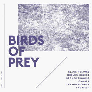 Birds of Prey: Birds of Prey (Vinyl LP)
