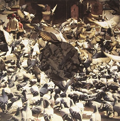 See Through Dresses: See Through Dresses (Vinyl LP)