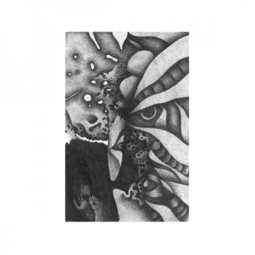 Vibracathedral Orchestra: Rec Blast Motorbike (Vinyl LP)