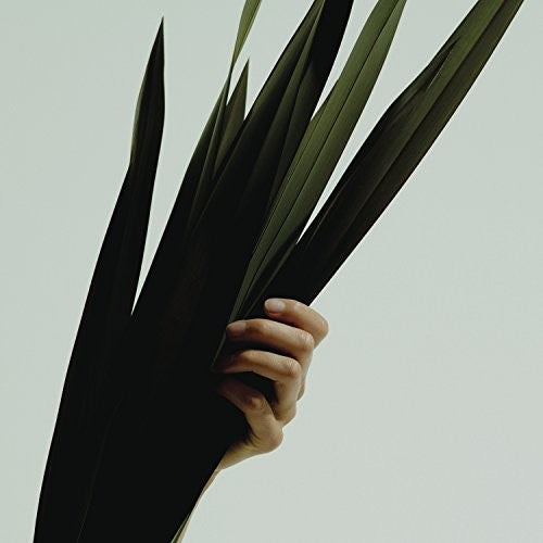 Wet: Weak / Losing All We Knew (7-Inch Single)