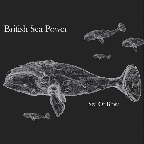 British Sea Power: Sea of Brass (Vinyl LP)