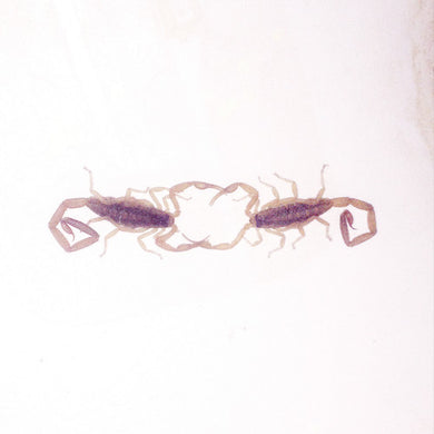 Cross Record: Wabi Sabi (Vinyl LP)