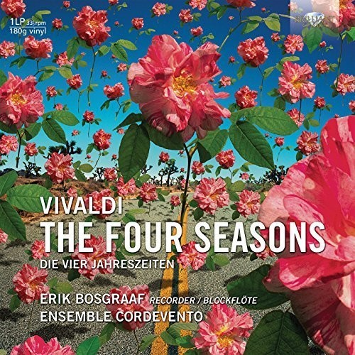 Vivaldi / Bosgraaf / Cordevento: Vivaldi: 4 Seasons (Vinyl LP)