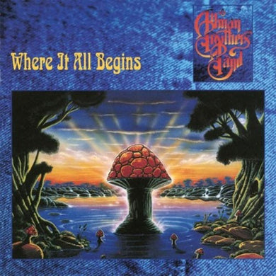 The Allman Brothers Band: Where It All Begins (Vinyl LP)