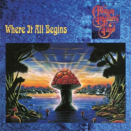 The Allman Brothers Band: Where It All Begins (Vinyl LP)