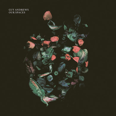 Andrews, Guy: Our Spaces (Vinyl LP)