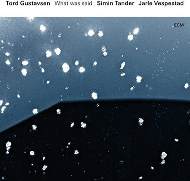 Gustavsen, Tord: What Was Said (Vinyl LP)
