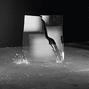 Schwalm, Jan-Peter: The Beauty of Disaster (Vinyl LP)