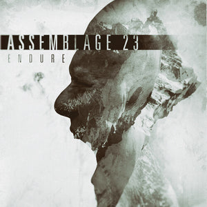 Assemblage 23: Endure (Vinyl LP)