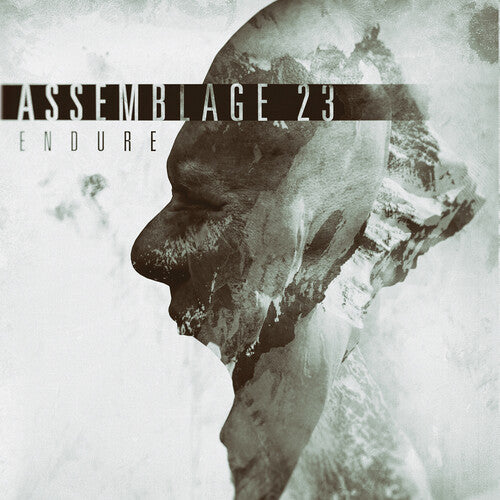 Assemblage 23: Endure (Vinyl LP)