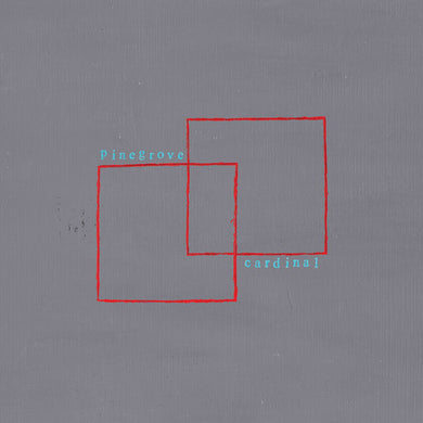 Pinegrove: Cardinal (Vinyl LP)