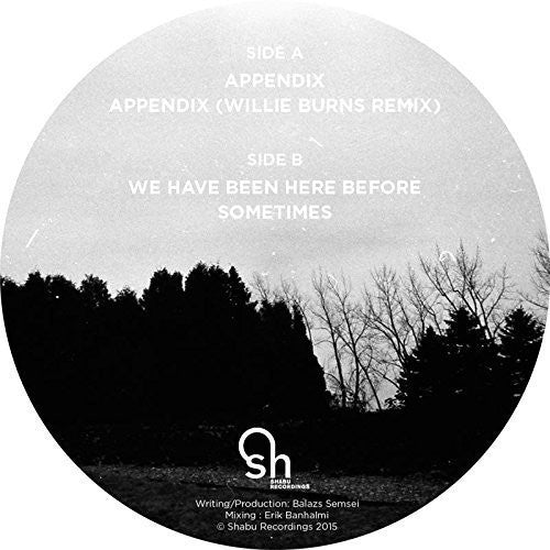 Norwell: Appendix (12-Inch Single)