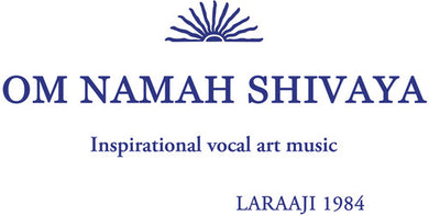 Laraaji: Om Namah Shivaya (Vinyl LP)
