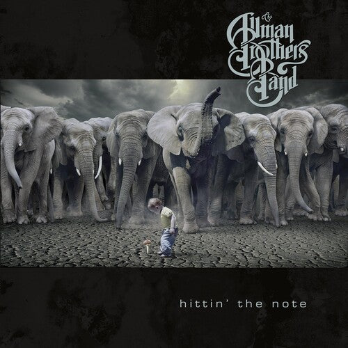 The Allman Brothers Band: Hitting The Note (Vinyl LP)